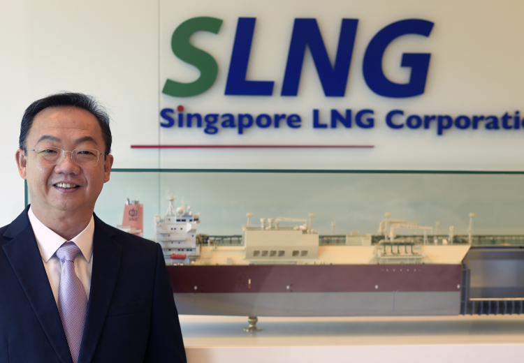 Singapore LNG Terminal To Be Helmed By Energy/Petrochem Veteran Tan Soo Koong